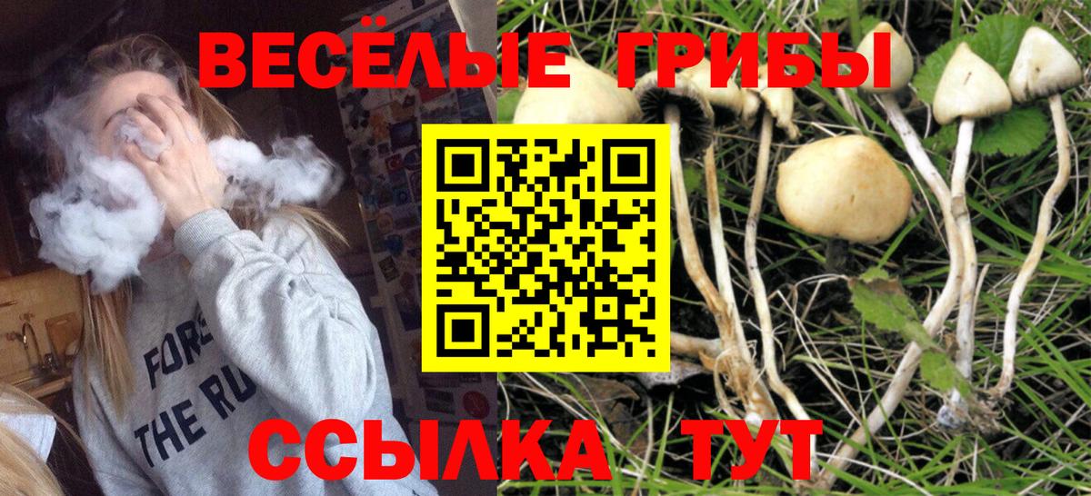 Лесосибирск  дарнет шоп  Вход с VPN  Галлюциногенные грибы мухоморы 