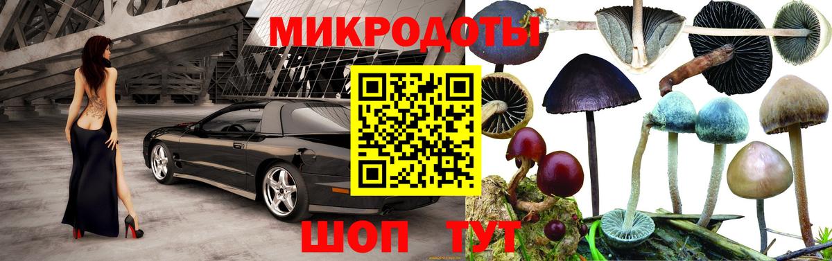 Псилоцибиновые грибы GOLDEN TEACHER Лесосибирск